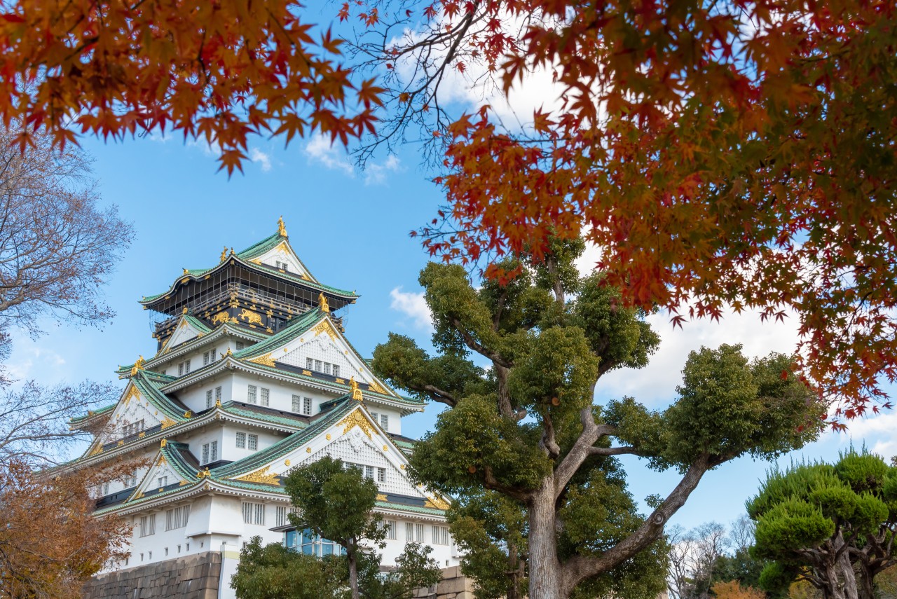 651aa8108a44be0d5d2c092a69ce5527_1761102201_0417.jpg 651aa8108a44be0d5d2c092a69ce5527_1761102201_0417.jpg