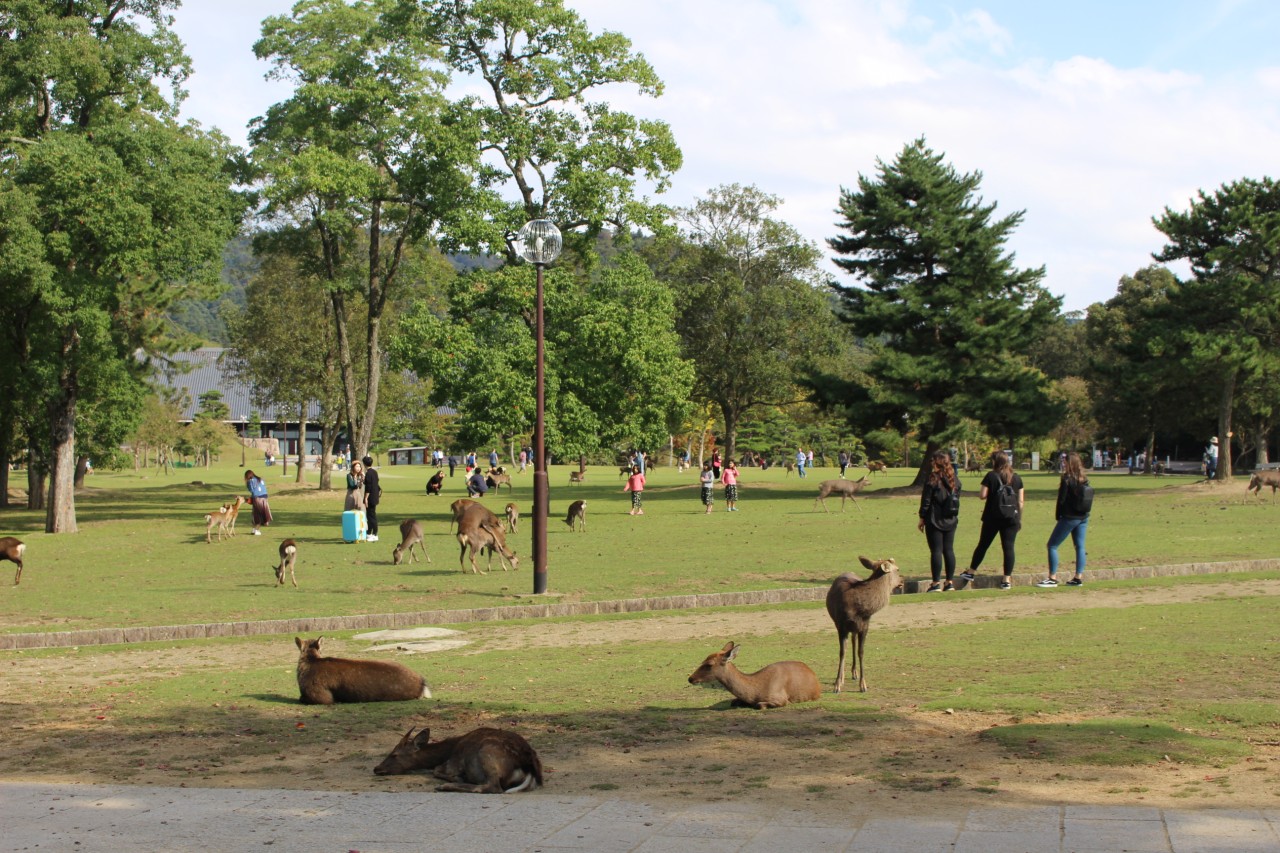 651aa8108a44be0d5d2c092a69ce5527_1761102214_475.jpg 651aa8108a44be0d5d2c092a69ce5527_1761102214_475.jpg