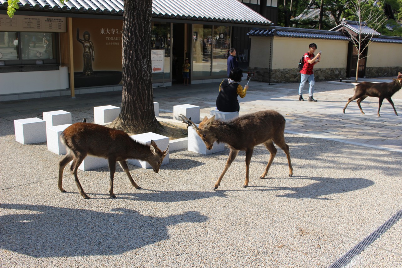 651aa8108a44be0d5d2c092a69ce5527_1761102214_5321.jpg 651aa8108a44be0d5d2c092a69ce5527_1761102214_5321.jpg