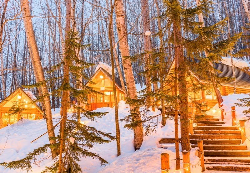 e58d36d7c680df587c697fdabb49d4a6_1762476896_9869.jpg e58d36d7c680df587c697fdabb49d4a6_1762476896_9869.jpg