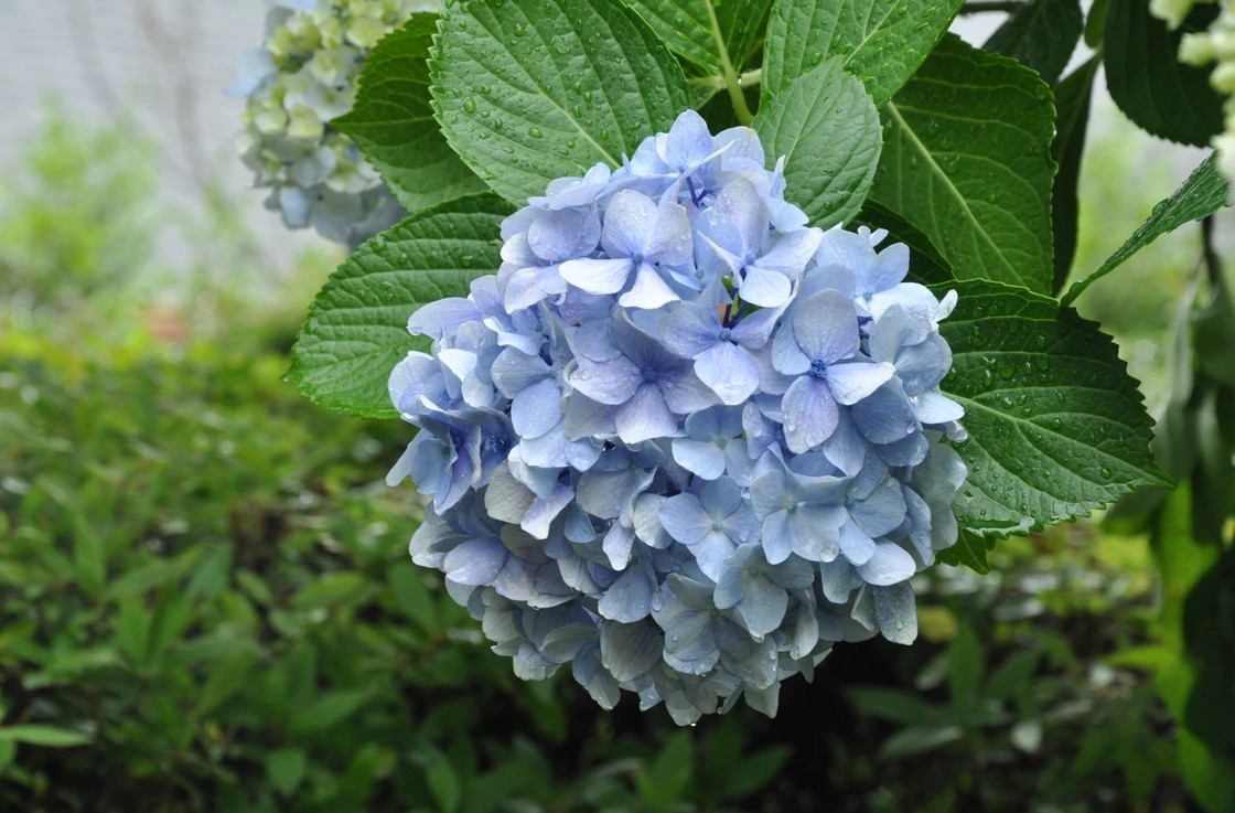 1b78218e403fe4dbb268ca667ef1693d_1778728287_445.jpg
